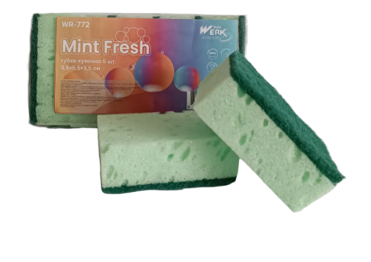 Губка кухонна Mint Fresh 5 шт WR-772 (9.5х6.5х3.5 см) Werk